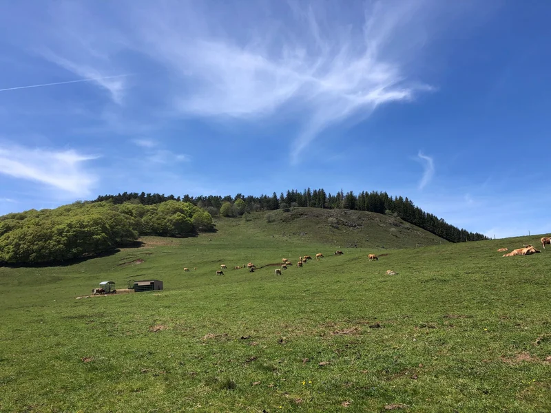 Trail Chastelle et Goutals- Trail n°23