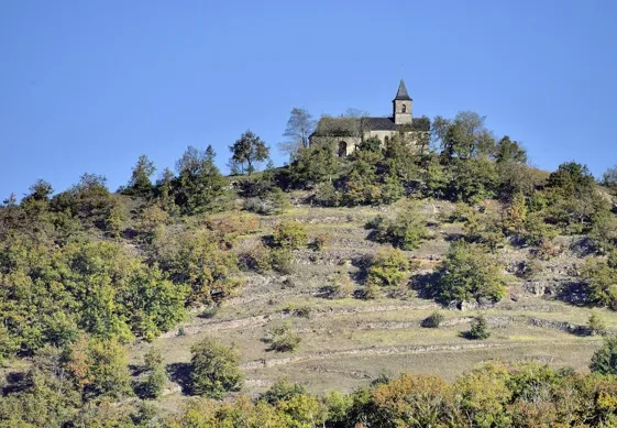 Trail Parcours Terra Trail n°8 Le Grand Mas