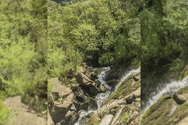 Trail Parcours Terra Trail n°15 Polissal