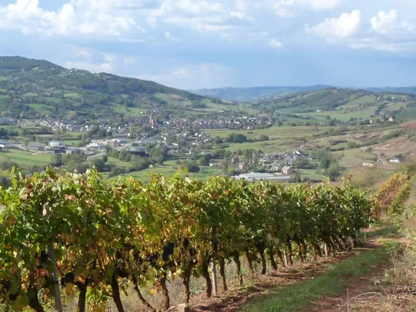 Trail Parcours Terra Trail n°14B Saint-Christophe