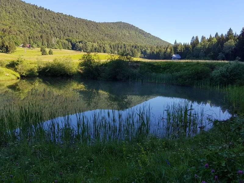 Randonnée Lac et Alpage du Mariet