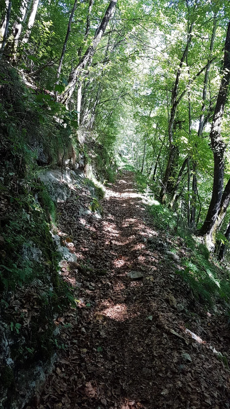 Randonnée Les Trois Bornes