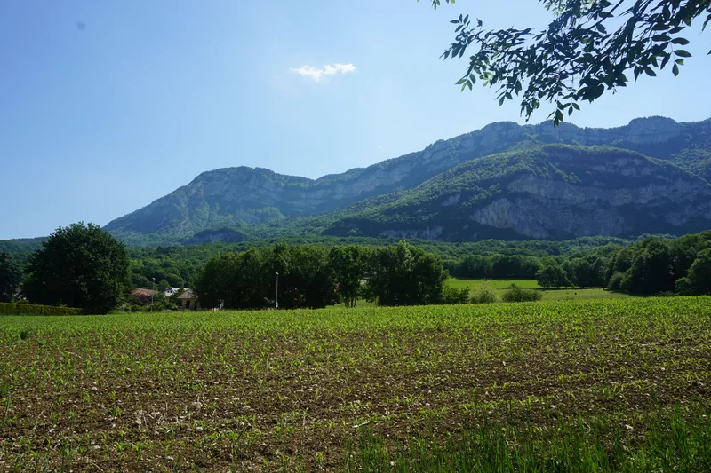 Randonnée Balade autour de Mouxy