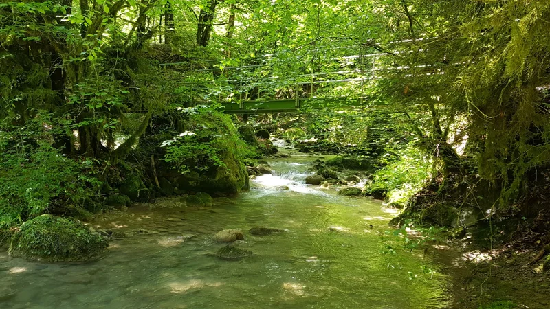 Randonnée La boucle des Fournis