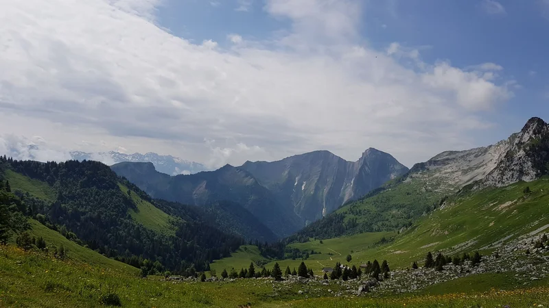 Randonnée La boucle d'Orgeval