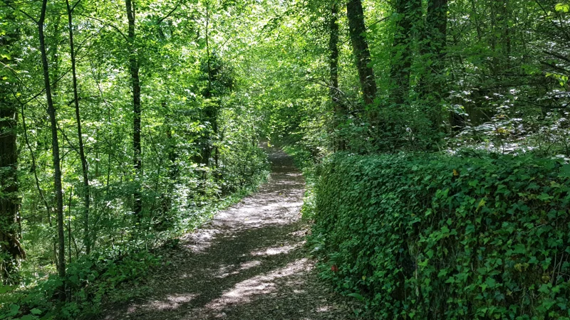 Vélo de route VTT - Sous la dent