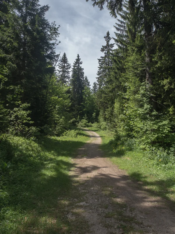 Vélo de route VTT Creux Froid