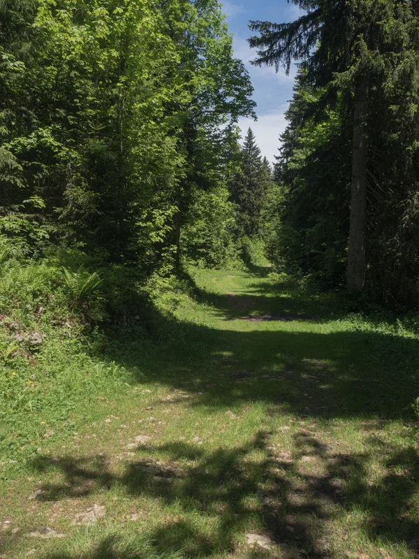Vélo de route VTT L'Olette