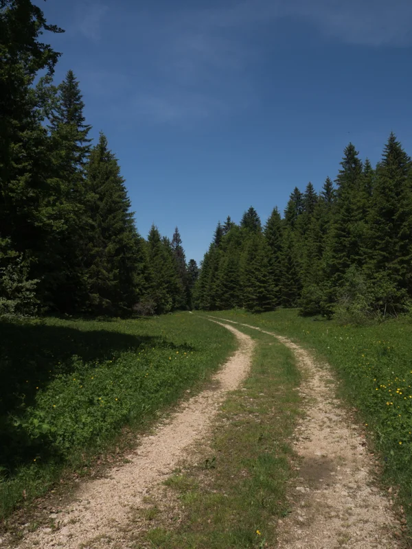 Vélo de route VTT Grande Teppe
