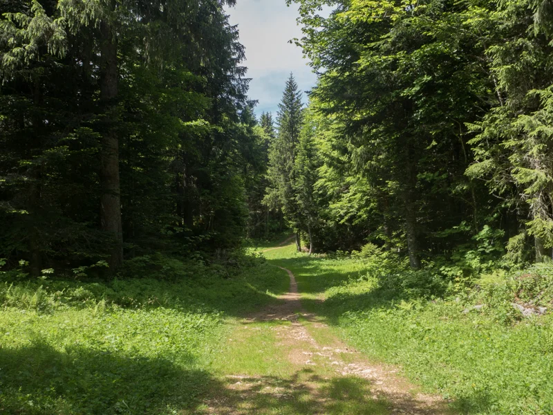 Vélo de route VTT L'Hansen