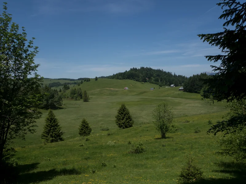 Vélo de route VTT Bois Brulé