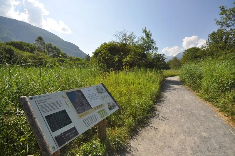 Randonnée Réserve du Bout du Lac d'Annecy