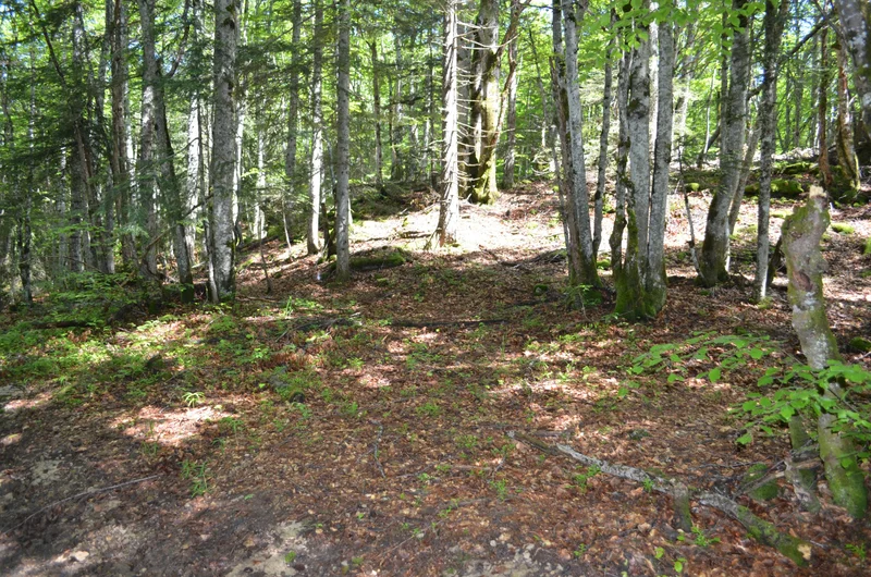 Randonnée Sentier de la Gornaz