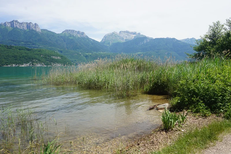 Randonnée Le sentier des Roselières