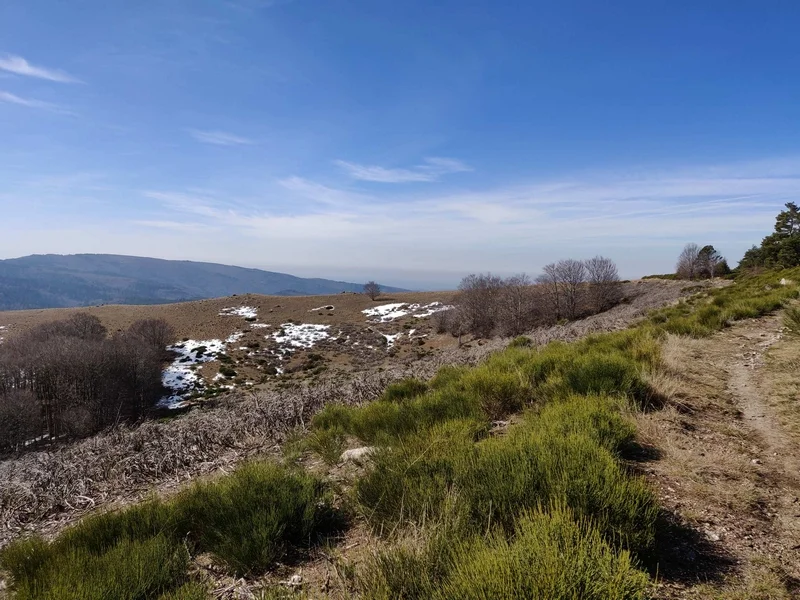 VTT Descente de Meyrueis - VTT n°11 · Val-d'Aigoual