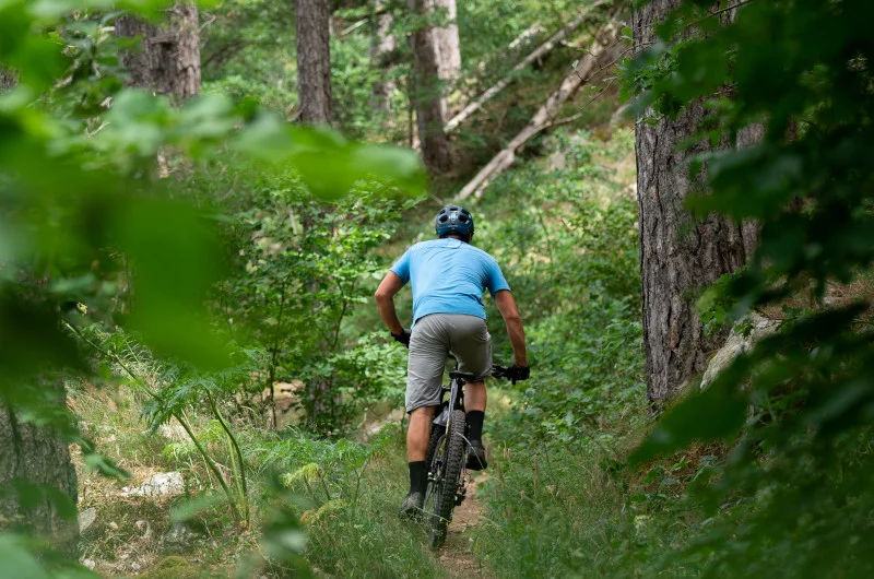 VTT Sources de l'Allier - VTT n°29