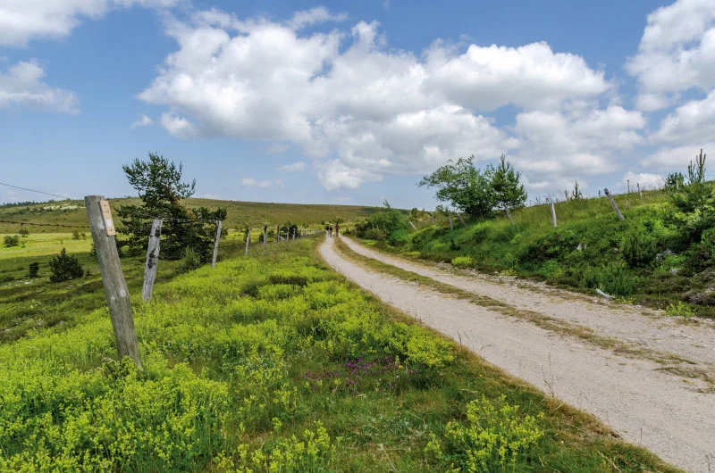 VTT Col de Finiels  - VTT n°12