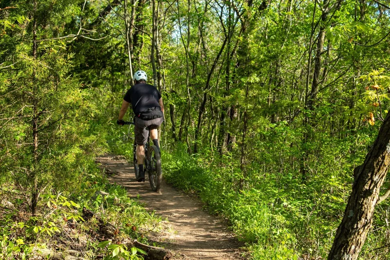 VTT Haut Allier - VTT N°32 · La Bastide