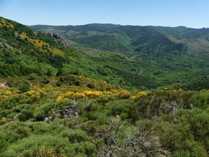 Randonnée La crête du Suquet