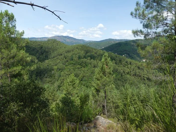 Randonnée Les roches