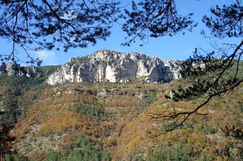 Randonnée Voyage entre Gorges et Causse, au pays des vautours