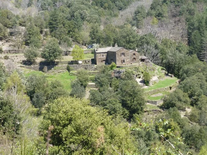Randonnée Le mulet Grisou