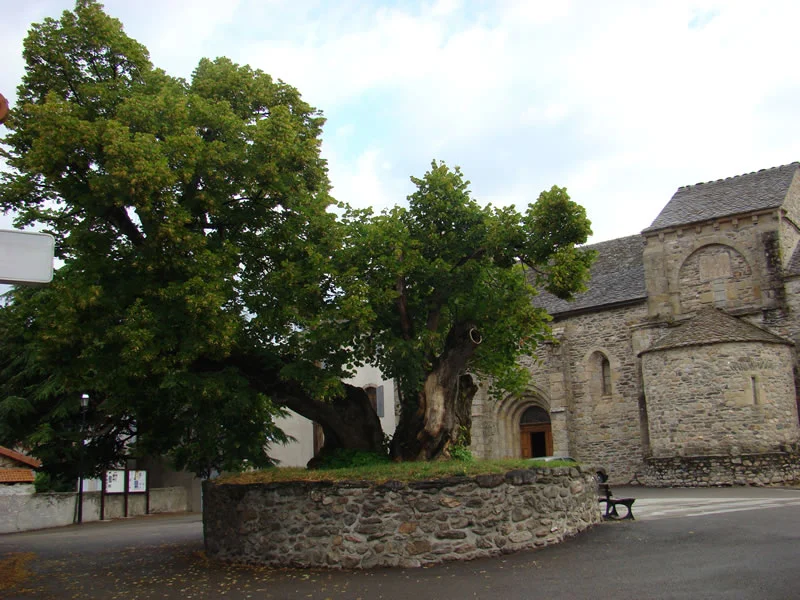 Randonnée La Goulette