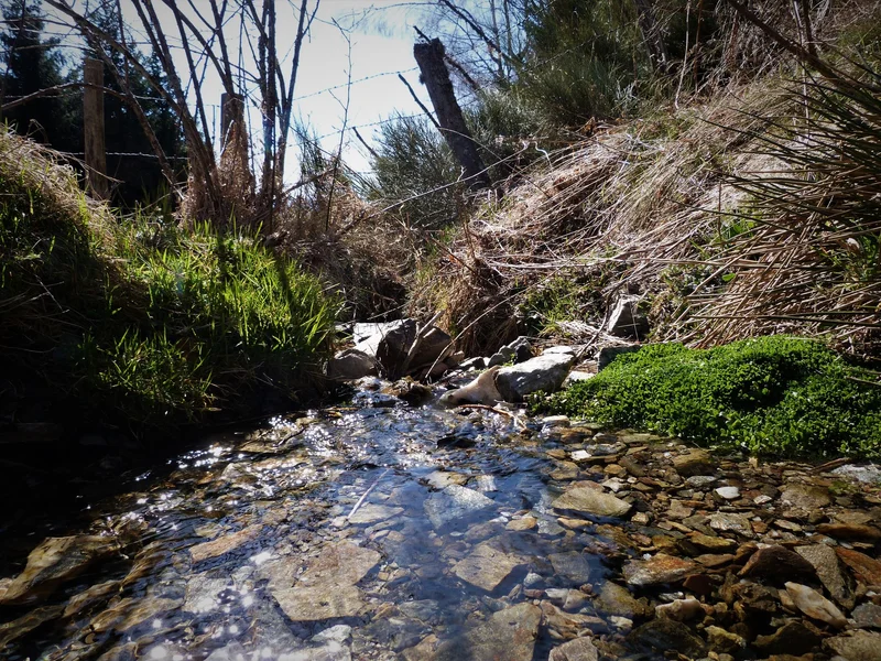 Randonnée Sources du Lot et Goulet