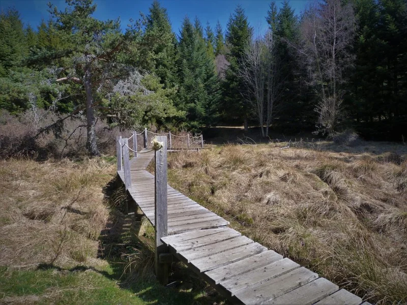 Randonnée Sources du Lot