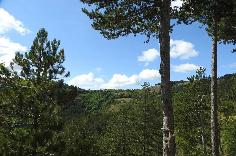 Randonnée Causse de Sauveterre