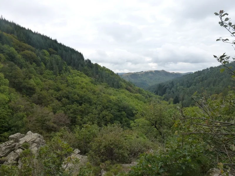 Randonnée L'arborétum de la Vis