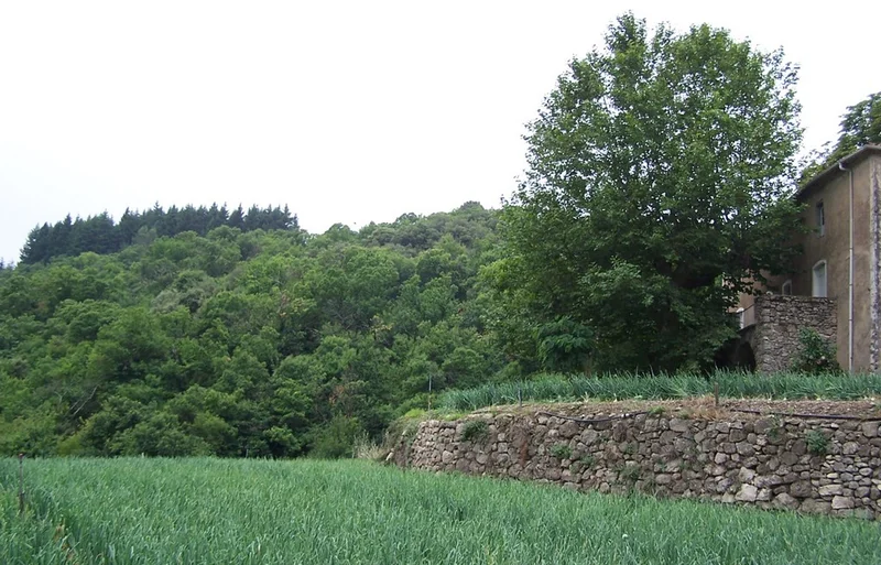 Randonnée L'Arboux