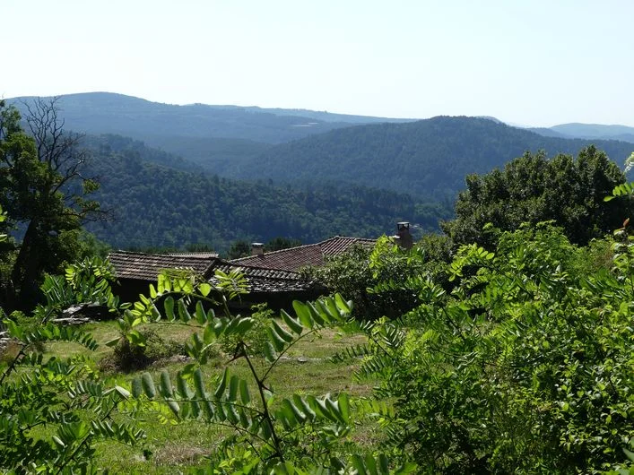 Randonnée Les Pins