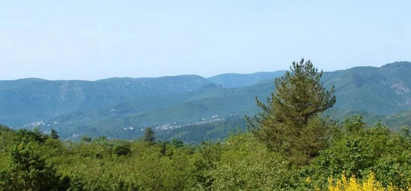 Randonnée Du Vigan au Mont Aigoual (5 jours)