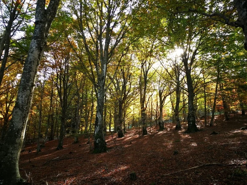 Randonnée Col de Salidès par Saint-André de Valborgne