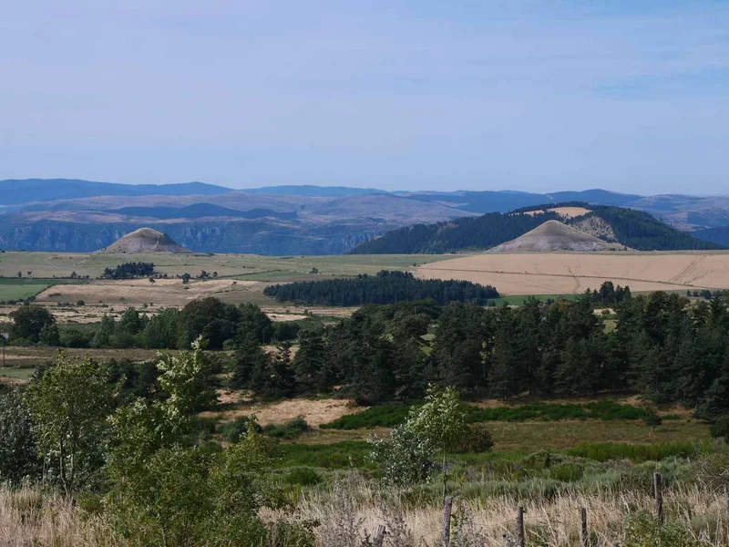 Vélo de route Des crêtes du Mont Lozère à la vallée du haut Tarn en gravel