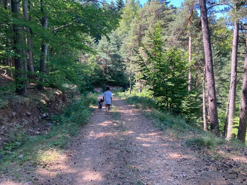 Randonnée Sentier du Mas de l'Ayre