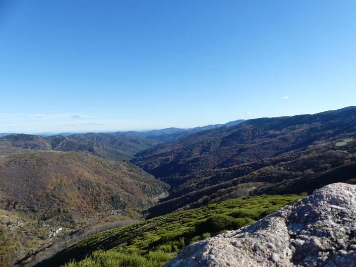 Trail Les Cévennes panoramiques par le mont Aigoual