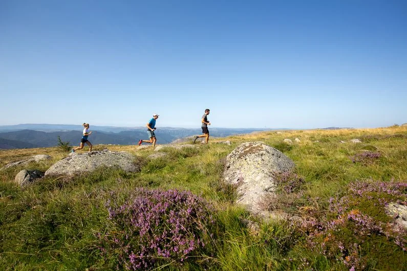 Trail Finiels et Pont du Tarn - Trail n°25