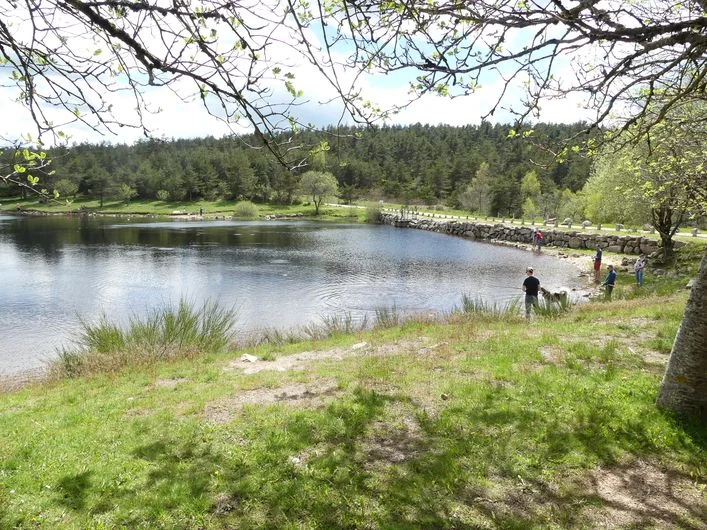 Trail Etang de Barrandon - Trail n°12