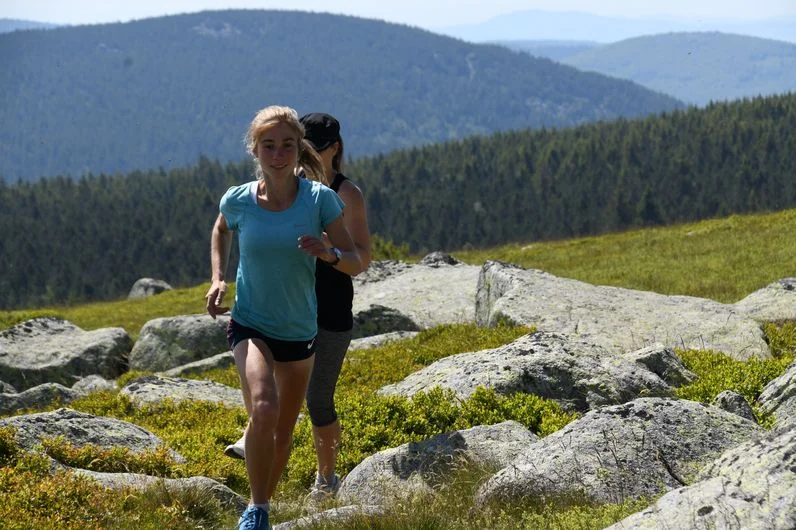 Trail Sommet de Finiels et Pelouse (Variante courte) - Trail n°17v