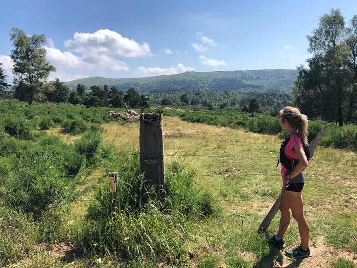 Trail Versant Nord Mont Lozère - Trail n°9