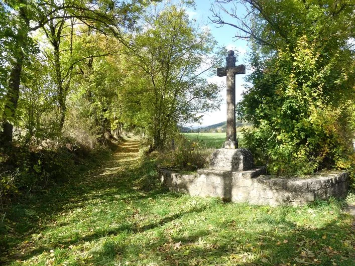 Trail Le Moure d'Allenc - Trail n°8