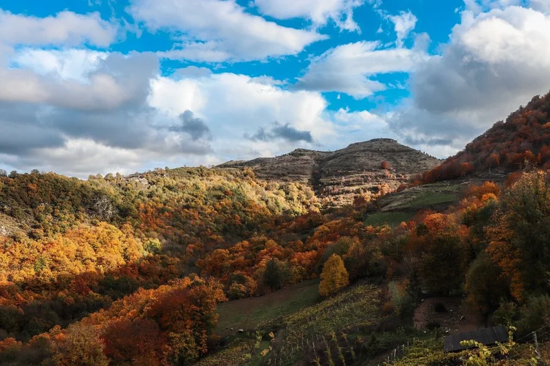 Trail Petit tour du Causse Noir - Trail n°23