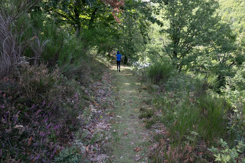 Trail Ablatats- Trail n°31