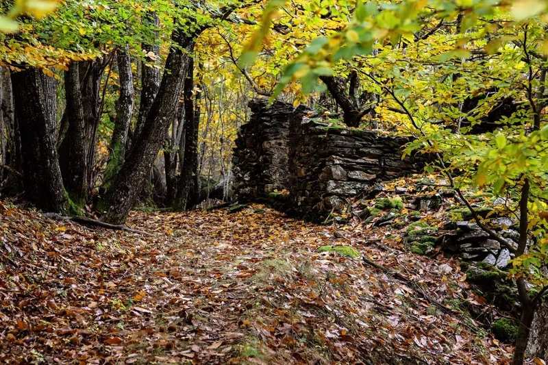 Trail De Barre à la rivière de la Mimente - Trail n°13