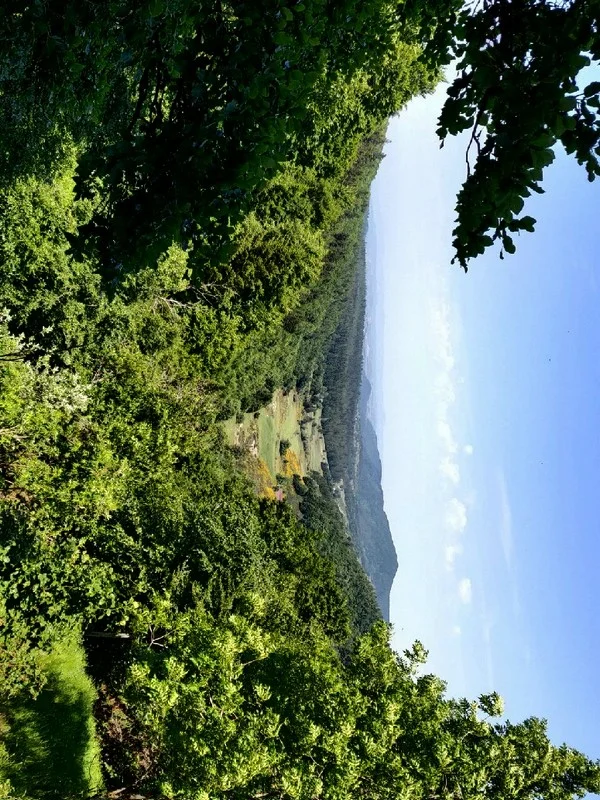 Vélo de route Ascension du mont Aigoual par la voie de découverte