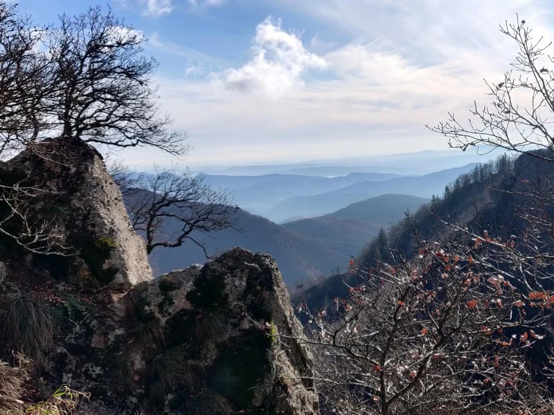 Vélo de route Les cascades d'Orgon - Escapades à vélo