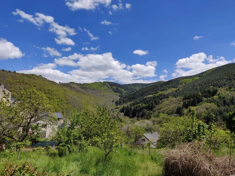 Vélo de route Les Gorges de la Dourbie