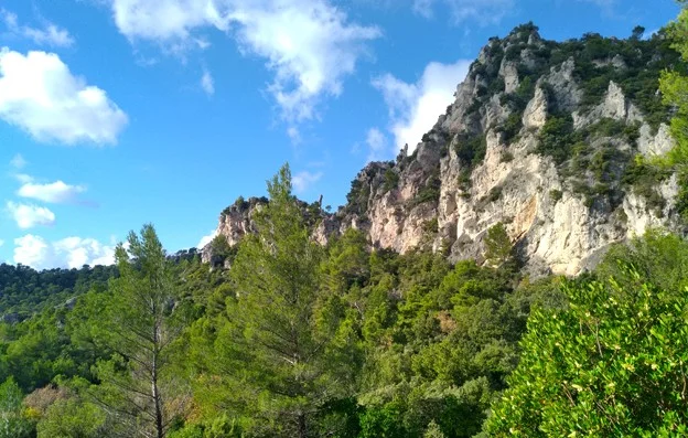 Randonnée LA ROQUEBRUSSANNE - Des Molières vers les Orris · La Roquebrussanne